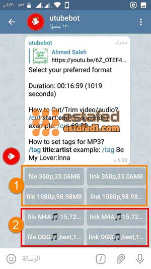 تحميل فيديو من يوتيوب عبر تليجرام