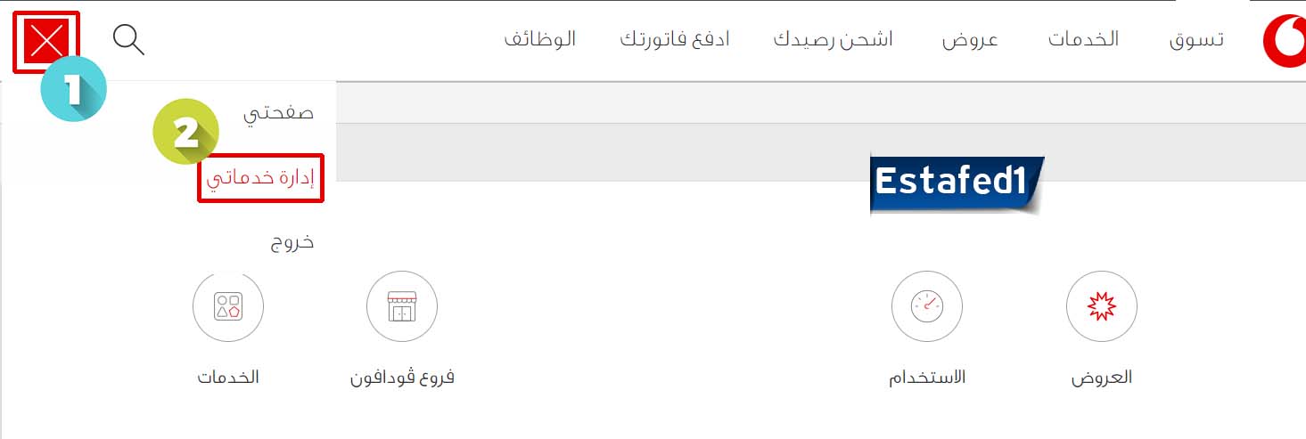 معرفة رصيد فودافون إدارة خدماتي